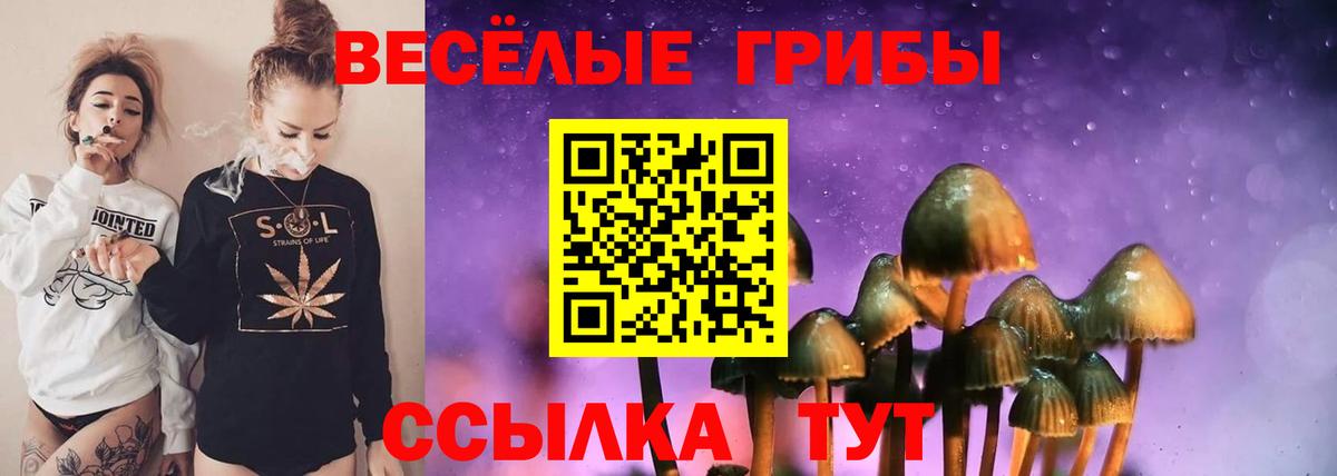 Галлюциногенные грибы ЛСД Чебоксары